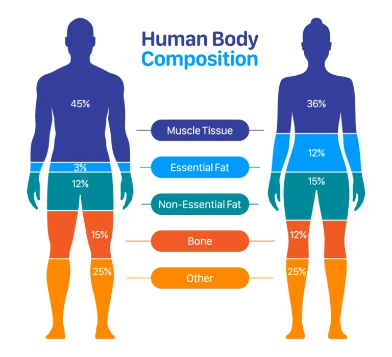 What is Body Composition and Why It Is Important